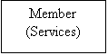 Text Box: Member
(Services)
